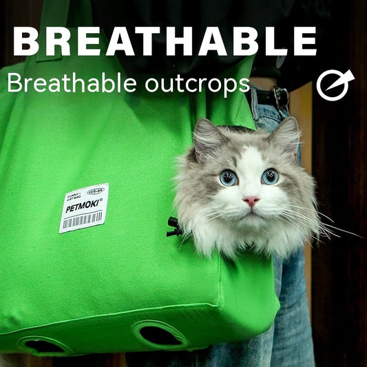 Escape-Proof Breathable Pet Carrier Bag – Comfortable Travel for Cats & Small Dogs