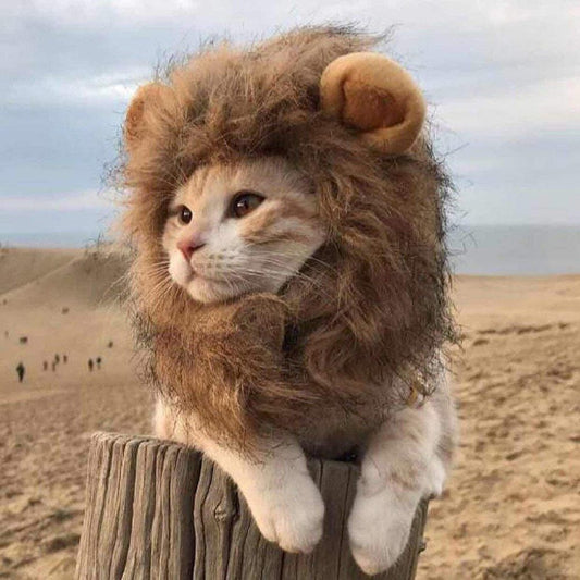 Cat Lion Mane Costume – Funny Dress-Up Headgear for Cats
